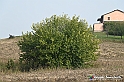 VBS_7585 - Andare lontano, oltre i campi da arare... e ancora più in là